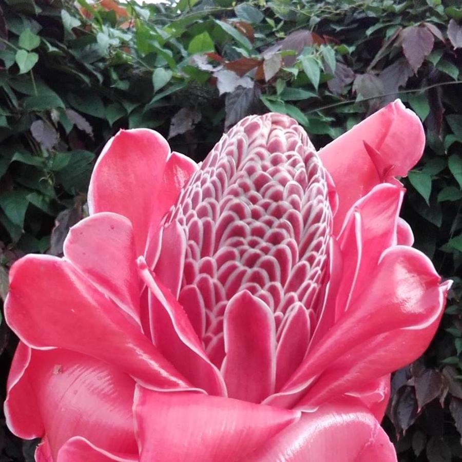 Albergaria Porcelana Sao Tome Bagian luar foto